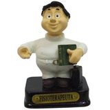 Miniatura Em Resina Fisioterapeuta Homem 8Cm