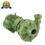 Motobomba Centrifuga 1.1/2 Polegada 3cv 220/380/440/760v