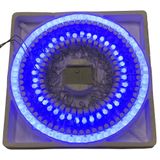 Pisca-pisca 100 Leds Azul Ntl62100a 220v - Rio De Ouro