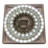 Pisca-pisca 100 Leds Branco Ntl62100b 127v - Rio De Ouro