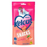 Petisco Snack Para Gato Salmão - 40 G