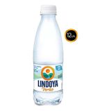 Água Mineral Lindoya 300ml Kit 12