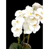 Arranjo de Orquídeas Phalaenopsis Brancas artificiais