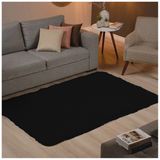 Tapete Sala Quarto Felpudo Luxuoso 2,0m X 2,4m Casen