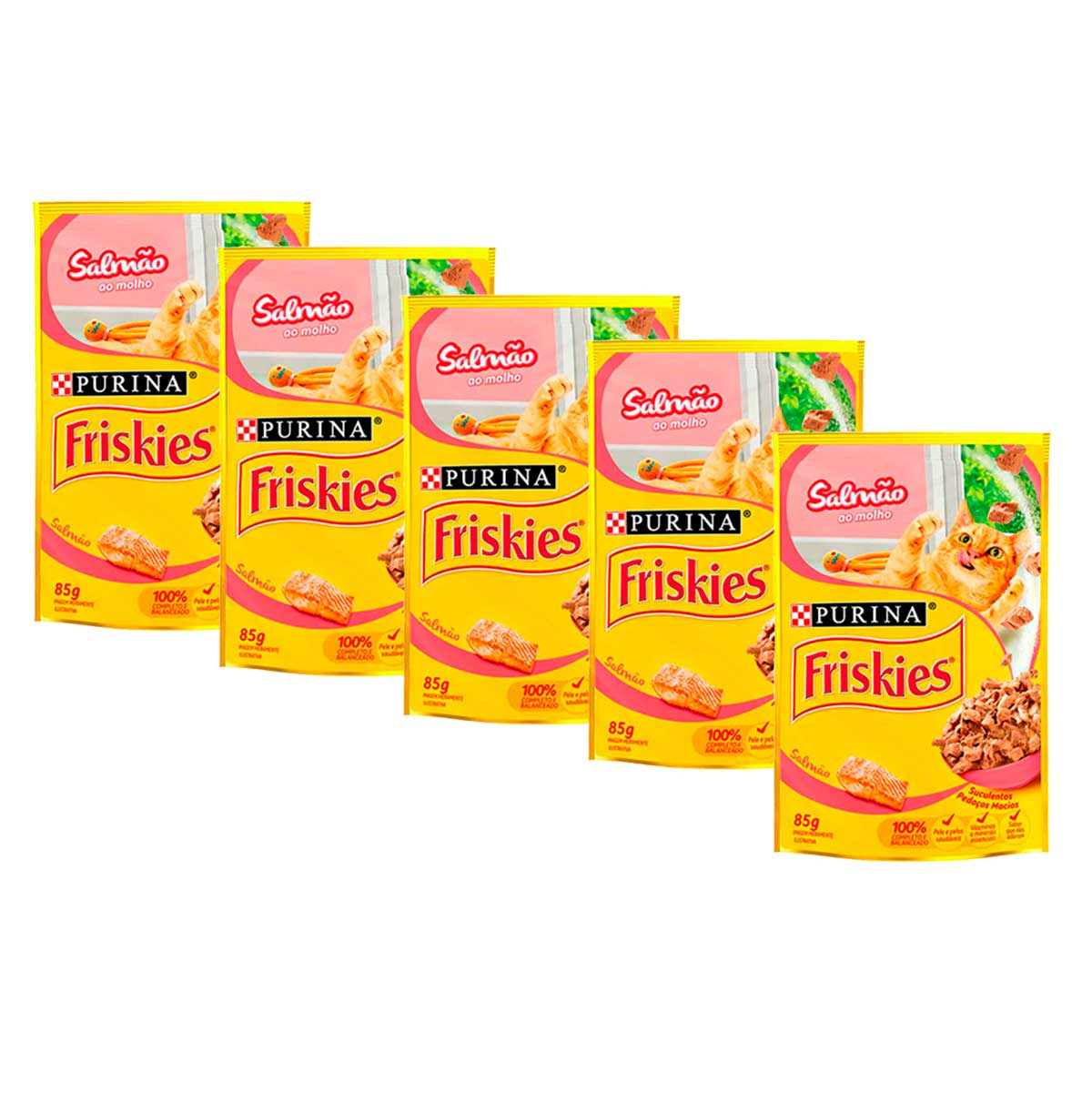 kit-5-saches-salmao-ao-molho-friskies-85g-1.jpg