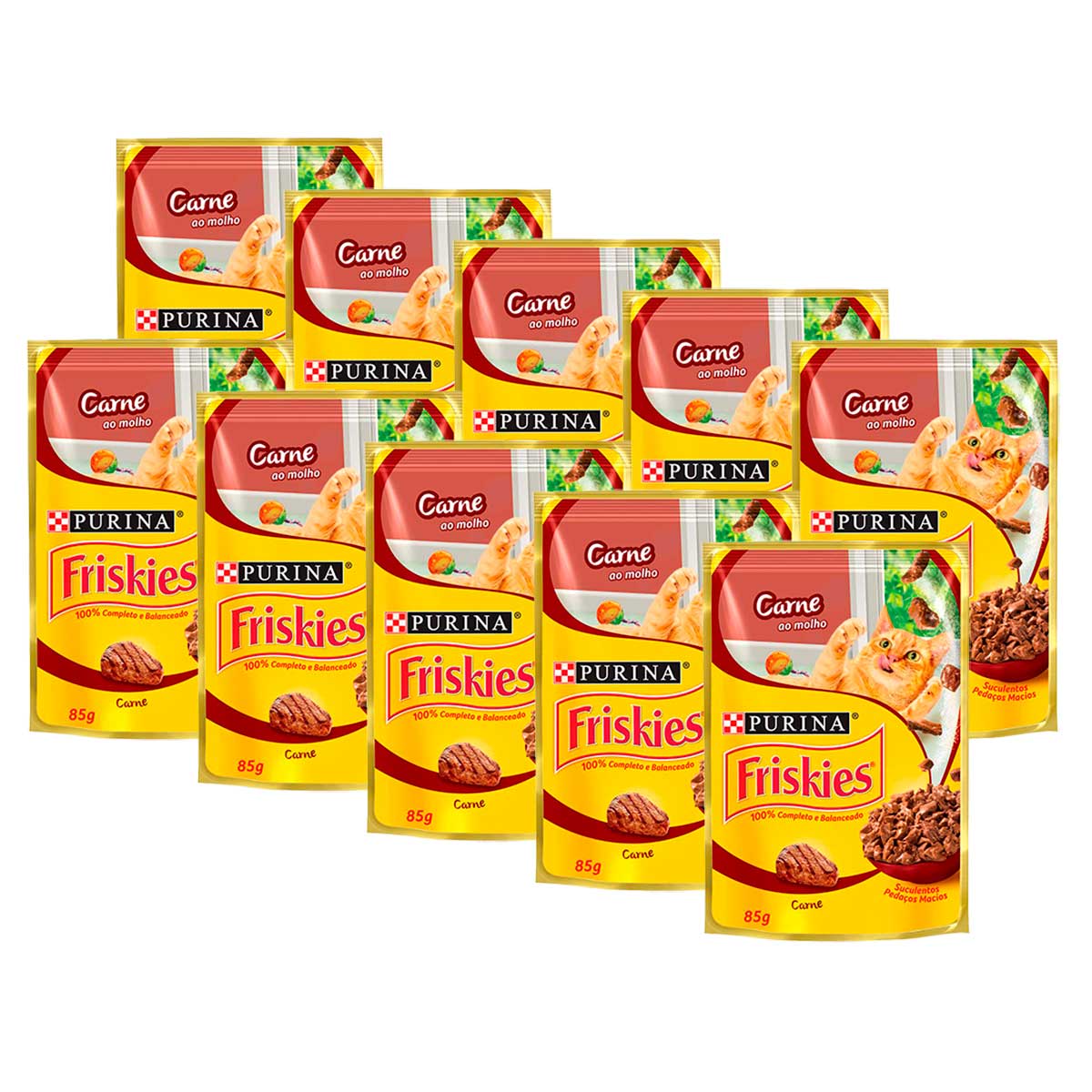 Kit 10 Sachês Carne Ao Molho Friskies 85g