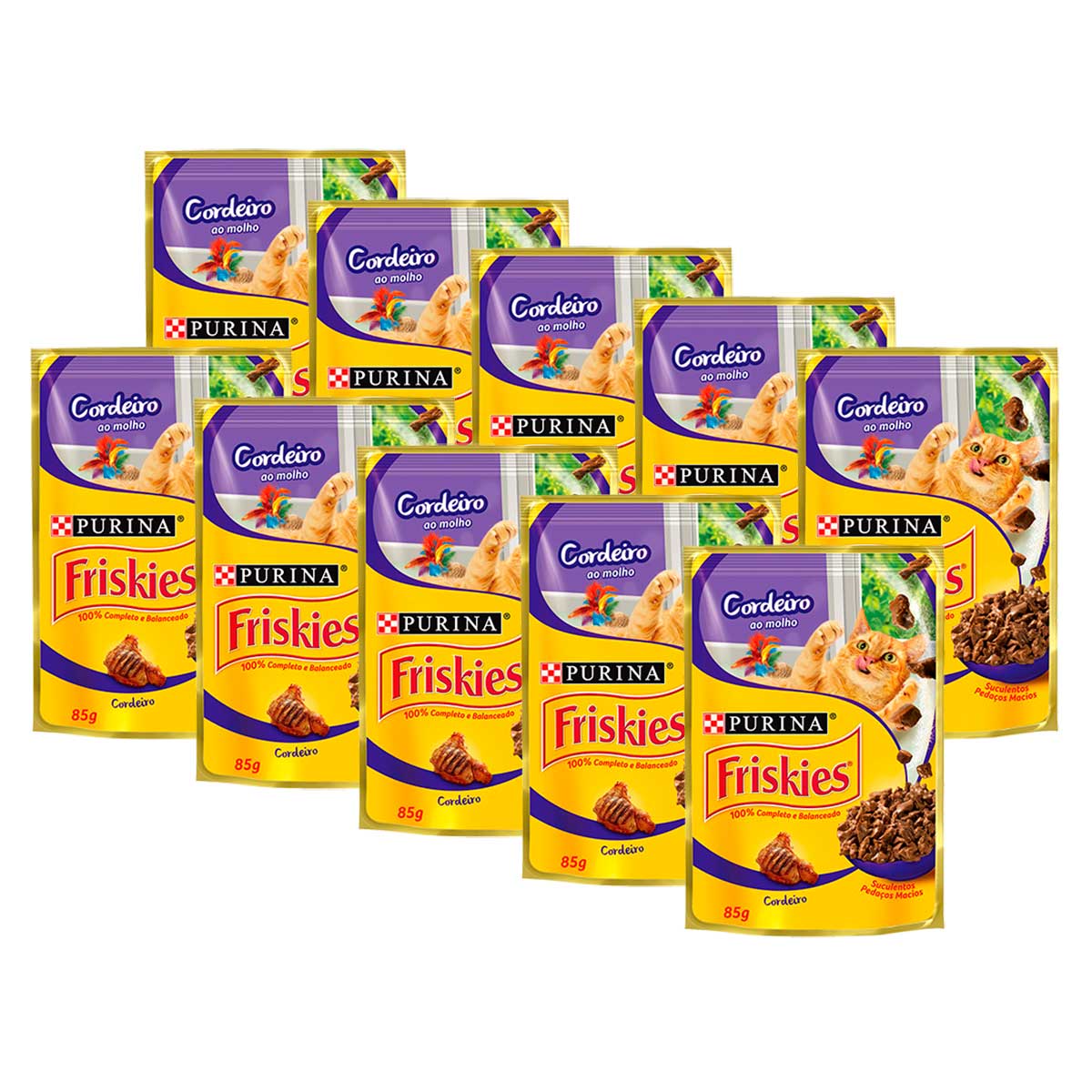 Kit 10 Sachês Cordeiro Ao Molho Friskies 85g