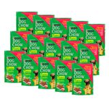 Kit 15 Sachês Dog Chow Filh Rp Car Leit Arz 100g