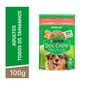 kit-15-saches-dogchow-cordeiro-tenro-molho-100g-2.jpg