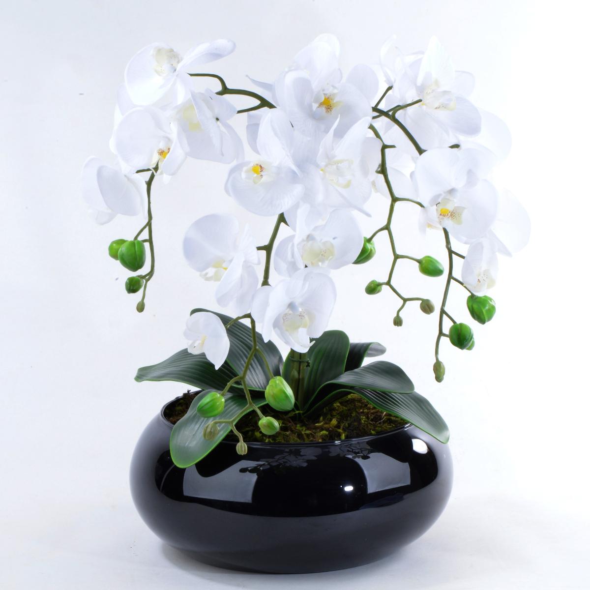 Características do Arranjo de Orquídeas Brancas de Silicone em Vaso Preto.-  Altura: 46 cm, Largura: 37 cm, Profundidade: 37 cm.- Flores Artificiais -  Carrefour