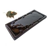 Placa Cola Pega Rato