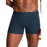Cueca Boxer Lupo 615-002