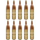 Kit 10 Ampolas De Vitamina Óleo De Abacate Óleo De Nutrição