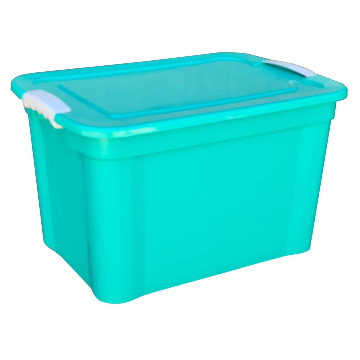Conjunto de Caixas de Plástico Organizadoras 9,8 L com Tampa Empilhável 2  Peças - Loja Plasútil