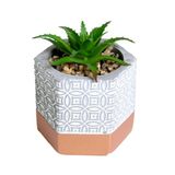 Vaso Hexagonal Com Suculenta Artificial Aloe Vera