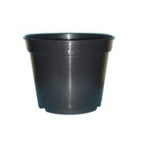 Vaso Okla Ponte Preto