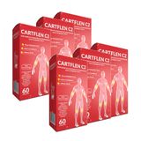 KIT-CARTFLEN C2 COLAGENO TIPO II HF SUPLEMENTS 24X 60 COMP