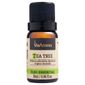 OLEO-ESSENCIAL-TEA-TREE-MELALEUCA-10ml-Via-Aroma