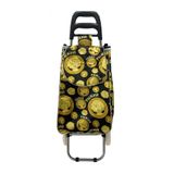 Carrinho De Feira Multiuso 95x45cm Mod10 - Quanhe
