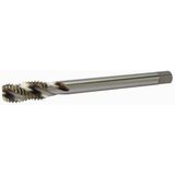 Macho Maq M 16,0 X 2,00Mm - H.F. - C.H. -