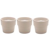 Conjunto 3 Vasos Auto Irrigáveis Horta Vasos Para Plantas Tempero Flores Bege