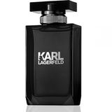 Karl Lagerfeld Masculino Eau De Toilette 100ml