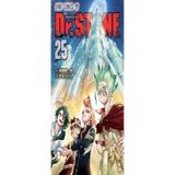 Dr. Stone Volume 25