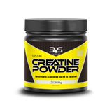 Creatina Monohidratada Creatine Powder 300g 3vs Nutrition