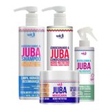 Kit Juba Revitalizando Shampoo Condic E Mascara Widi Care