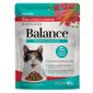 Racao-Umida-para-Gatos-Adultos-Sabor-Carne-ao-Molho-com-Vegetais-Premium-Especial-Balance-Sache-85g-Principal