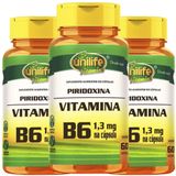 Vitamina B6 Piridoxina Vegana 60 Caps 500mg Kit Com 3