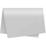 Papel Cartolina Dupla Face Color SET 47,5X66CM Branco