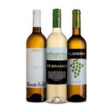 Kit 3 Vinhos Brancos - Alentejo Shopvinho