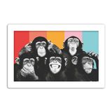 Quadro Placa Decorativa - Expressoes Macacos