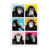 Quadro Placa Decorativa - Macacos Pop Art