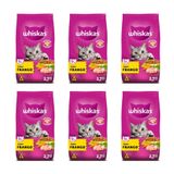 Kit Ração Para Gatos Frango 6 Pacotes 2,7kg - Whiskas Kit Ração Para Gatos Frango 6 Pacotes - Whiskas