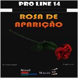 Rosa De Aparição E Lenço De 23 Cm