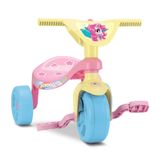 Triciclo Velotrol Tchuco Unicornio Com Haste Samba Toys