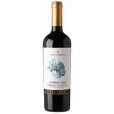 Vinho Santa Carolina Reserva Cabernet Sauvignon 2017 750Ml