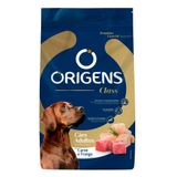 Ração Seca Origens Premium Especial Class Carne E Frango Para Cães Adultos - 20 Kg