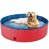 Piscina Para Pets 120x30cm Meu Pet