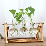 Vaso Da Lâmpada Da Plantadeira De Vidro Com Suporte Retro De Madeira Maciça E Meta