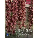 Coleção Rubi Volume 7 - Orquídeas Cymbidium