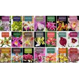 Coleção Enciclopédia Das Orquídeas (21 Volumes)