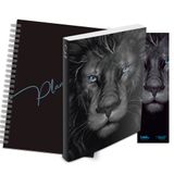 Kit Leão Grafite - Planner Capa Lisa + Bíblia Brochura NAA + Marca Página