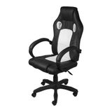 Cadeiraeira Gamer Raptor Branca Base Rodízio