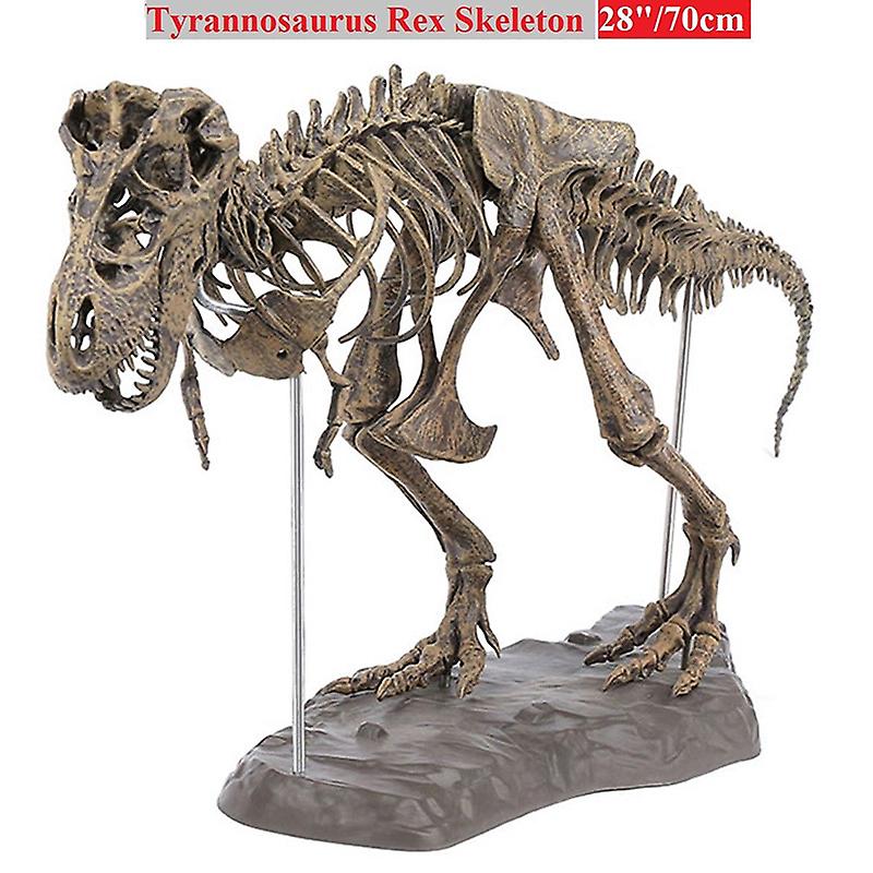 Animal de esqueleto de dinossauro Tirirossauro dinossauro Velociraptor, t  rex, Tiranossauro, terrestre Animal, animal png