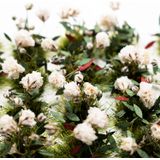 40 Pces Flor Cluster Flor Vegetação Grupos Tufts Grama M