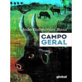 Campo Geral