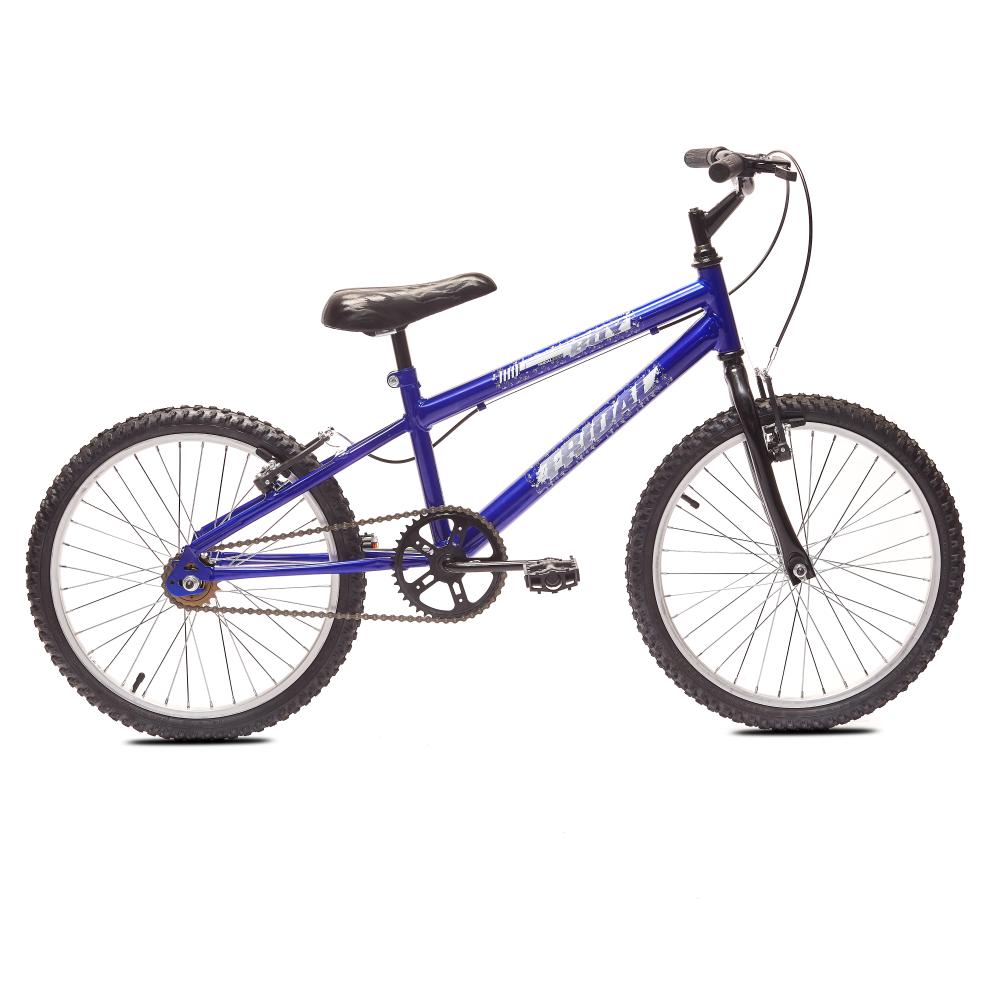 Bicicleta Aro 20 Mtb Boy Infantil Tridal - Azul